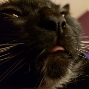 Meet your Posher, Melanie